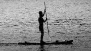 Paddleboarding v/s swimming: Which water workout is better for core?