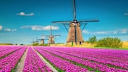 Heading to Netherlands? Add these spots to your itinerary