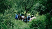 How nature walks can help you feel more grateful