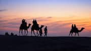Explore Rajasthan's desert plants on your 5-day trip