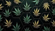 How to make tribal art with hemp