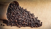 The fascinating history of peppercorns