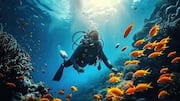 Why Sodwana Bay is a top scuba diving destination 