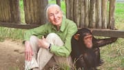 Admire noted wildlife conservationist Jane Goodall? Read these books