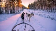 Top winter activities to try in Quebec, Canada 
