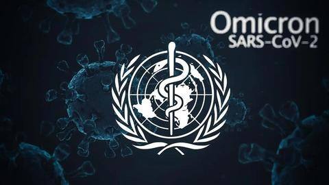 No concerning trends caused by new Omicron subvariants: Experts No concerning trends caused by new Omicron subvariants: Experts