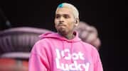 Chris Brown owes former housekeeper $13M after vicious dog attack 