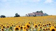 Visiting Spain? Relax in the scenic countryside 