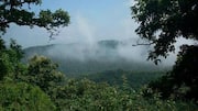 Maharashtra government clears 83,700-sq ft forest land for Adani projects