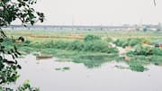 Haryana, UP to divert Ganga, Munak water to revive Yamuna