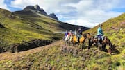 In your next adventure, try horseback riding through Scottish Highlands