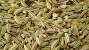 5 health benefits of fennel seeds