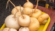 How turnip is used in traditional cuisines