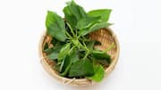 Molokhia: A leafy green loved across Africa