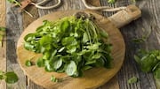 This leafy green is the superfood you need right now