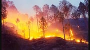 Forest fires ravage Uttarakhand; flames spread across Kedarnath, Nainital hills 