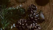 Scented pinecones can change the home decor game 