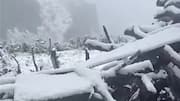 Himachal's Kinnaur records season's 1st snowfall, North India cools down