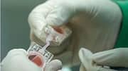 China is testing if humans can have babies in space