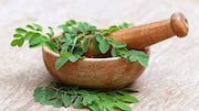 Why moringa is great for your health