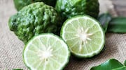 Why you must include kaffir lime in your diet