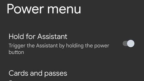 New audio processor added; Assistant trigger doesn't work in beta