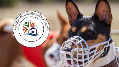 Fines to muzzles: RWAs act tough amid dog bite cases Fines to muzzles: RWAs act tough amid dog bite cases