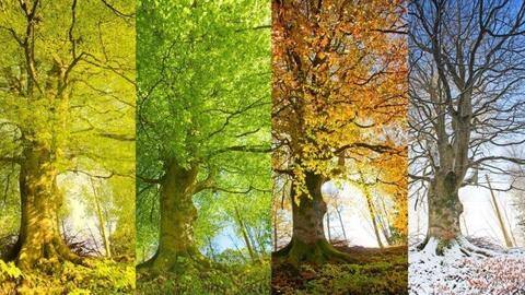 Follow these tips to avoid falling ill during season change Follow these tips to avoid falling ill during season change
