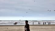 5 surprising health benefits of kite flying