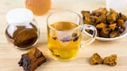 What is chaga mushroom tea?