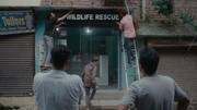 India's Oscar hope: All about Shaunak Sen's 'All That Breathes'