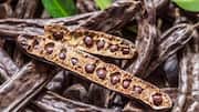 Locust beans: A hidden gem in healthy eating