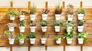 DIY: Create one-of-a-kind planters in minutes 
