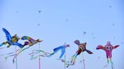How does kite flying help you concentrate better