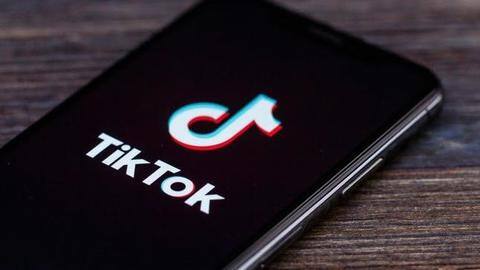 Pakistan: 155 suspects released in TikToker's sexual assault case Pakistan: 155 suspects released in TikToker's sexual assault case