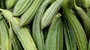 Sponge gourd: Nutrients, uses, and benefits