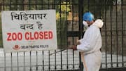 Why Delhi zoo has been closed until further notice