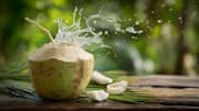 Indian Ocean coconut: 5 uses for wellness