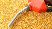 India's ethanol industry faces growing overcapacity amid weak E20 demand 