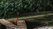 Bamboo rafting: 5 unexpected perks