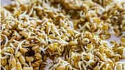 Fenugreek sprouts for breakfast: 5 must-try recipes