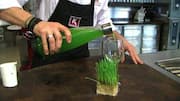 Wheatgrass: The superfood you didn't know you needed