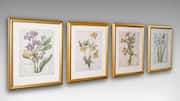 Add nature to your space with botanical prints