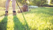 5 surprising benefits of mowing your lawn
