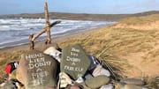 'Harry Potter' fans reroute power cable to save Dobby's grave