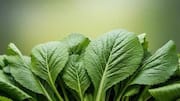 How to grow mustard greens at home