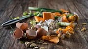 Is plastic contamination overlooked while tackling food waste?