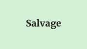 Word of the Day: Salvage