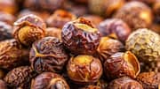 Surprising health benefits of soap nut