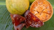 Meet your next favorite fruit: Monkey orange 